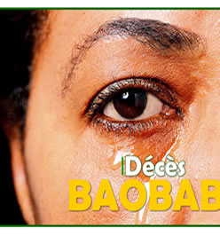 DECES BAOBAB